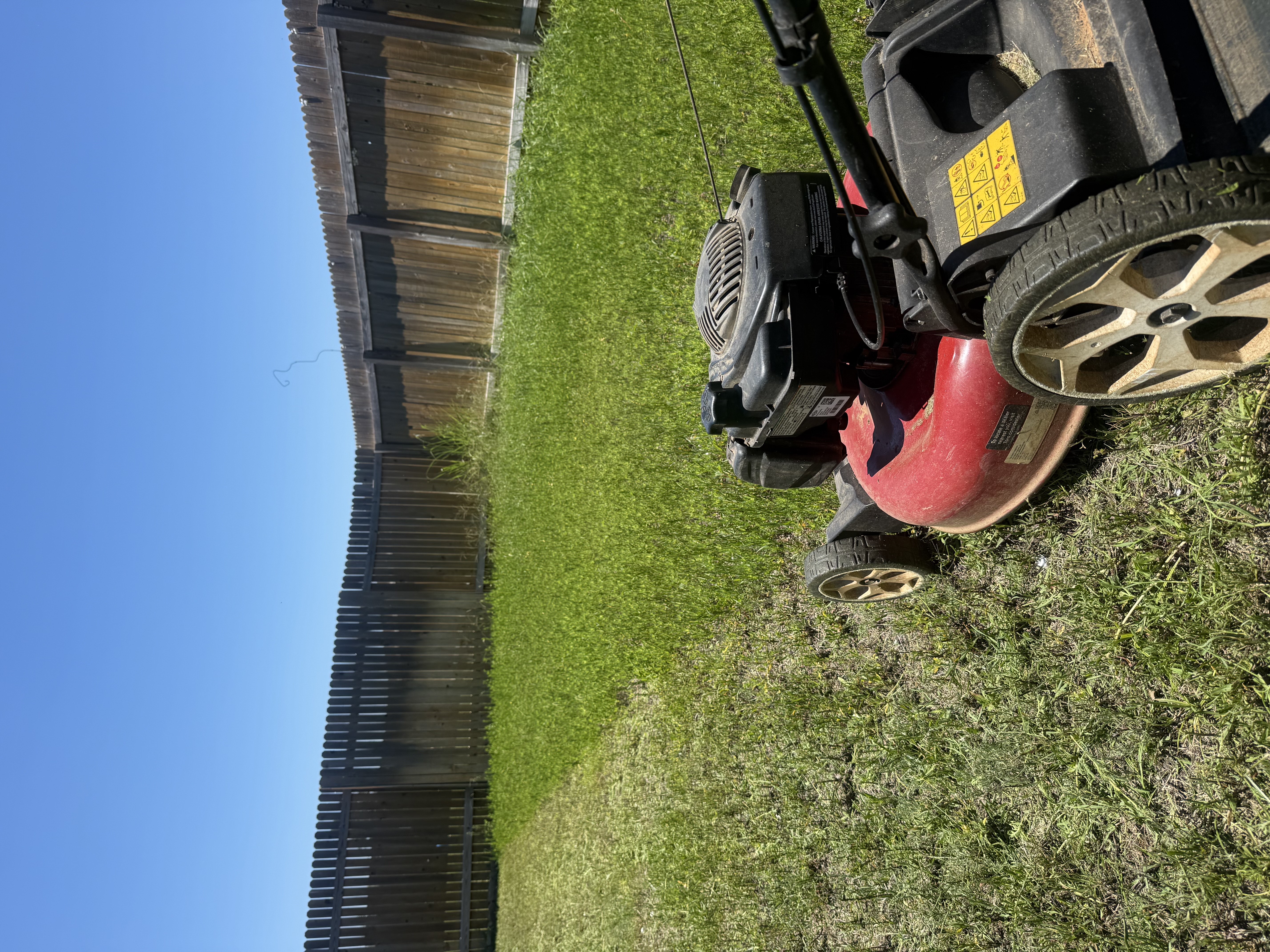 Expert landscaping and yard care
